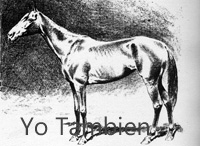 Yo Tambien (USA) ch f 1889 Joe Hooker (USA) - Marian (USA), by Malcolm (USA)