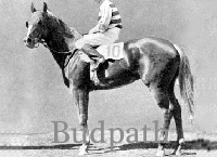 Budpath (CAN) ch c 1938 Buddy Bauer (USA) - Luress (CAN), by Sweepster (USA)