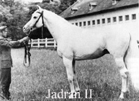 Jadran II (YUG) gr c 1945 Money Maker (IRE) - Jedina (HUN), by Honpolgar (GB)