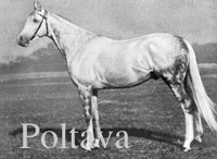 Poltava (GB) gr c 1917 Polymelus (GB) - Tagale (FR), by Le Sancy (FR)