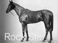 Rock Star (IRE) b c 1927 Sherwood Starr (GB) - Rockmills (IRE), by Mushroom (GB)