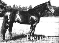 Ticino (GER) b c 1939 Athanasius (GER) - Terra (GER), by Aditi (GER)