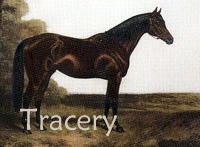 Tracery (USA) br c 1909 Rock Sand (GB) - Topiary (GB), by Orme (GB)