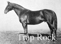 Trap Rock (USA) ch c 1908 Rock Sand (GB) - Topiary (GB), by Orme (GB)