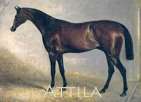 Attila (GB) b c 1839 Colwick (GB) - Progress (GB), by Langar (GB)