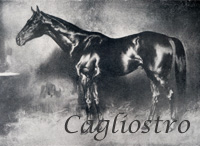 Cagliostro (HUN) b c 1931 Nubier (GER) - Cartouche (HUN), by Pzmn (AH)