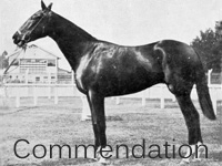 Commendation (NZ) b c 1923 Limond (GB) - Eulogy (GB), by Cicero (GB)