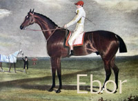 Ebor (GB) b c 1814 Orville (GB) - Constantia (GB), by Walnut (GB)