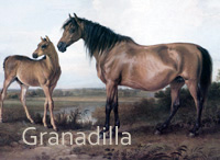 Granadilla (GB) b f 1794 Fidget (GB) - Dryad (GB), by Dorimant (GB)