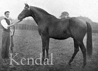 Kendal (GB) ch c 1883 Bend Or (GB) - Windermere (GB), by Macaroni (GB)