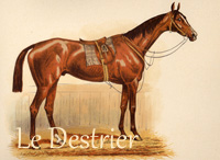 Le Destrier (FR) ch c 1877 Flageolet (FR) - La Dheune (FR), by Black Eyes (FR)