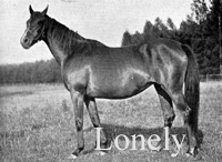 Lonely (GB) b f 1882 Hermit (GB) - Anonyma (GB), by Stockwell (GB)