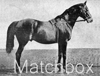 Matchbox (GB) b c 1891 St. Simon (GB) - Match Girl (GB), by Plebeian (GB)