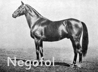 Negofol (FR) b c 1906 Childwick (GB) - Nebrouze (FR), by Hoche (FR)