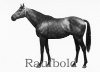 Raufbold (GER) b c 1940 Oleander (GER) - Reichenbach (GER), by Ariel (GER)