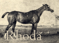 Rhoda (GB) b f 1813 Asparagus (GB) - Rosabella (GB), by Whiskey (GB)