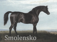 Smolensko (GB) bl c 1810 Sorcerer (GB) - Wowski (GB), by Mentor (GB)