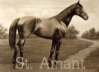 St. Amant (GB) b c 1901 St. Frusquin (GB) - Lady Loverule (GB), by Muncaster (GB)