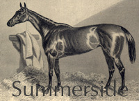 Summerside (GB) br f 1856 West Australian (GB) - Ellerdale (GB), by Lanercost (GB)