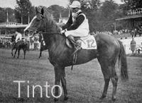 Tinto (DEN) ch c 1959 Orthodox (GB) - Alerte (DEN), by Gunnel (GB)