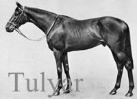 Tulyar (IRE) br c 1949 Tehran (IRE) - Neocracy (GB), by Nearco (ITY)