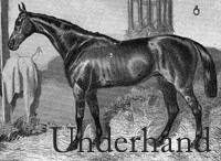 Underhand (GB) b c 1854 The Cure (GB) - Contraction (GB), by Emilius (GB)