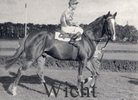 Wicht (GER) b c 1957 Caran D'Ache (ITY) - Wappenau (GER), by Abendfrieden (GER)
