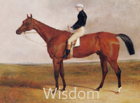 Wisdom (GB) b c 1834 Sultan (GB) - Victoria (GB), by Tramp (GB)